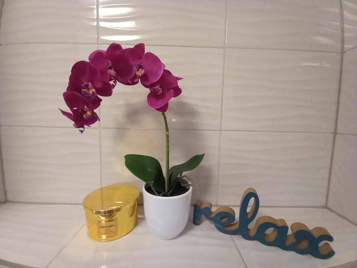 Apartment Hedonist Spalato المظهر الخارجي الصورة